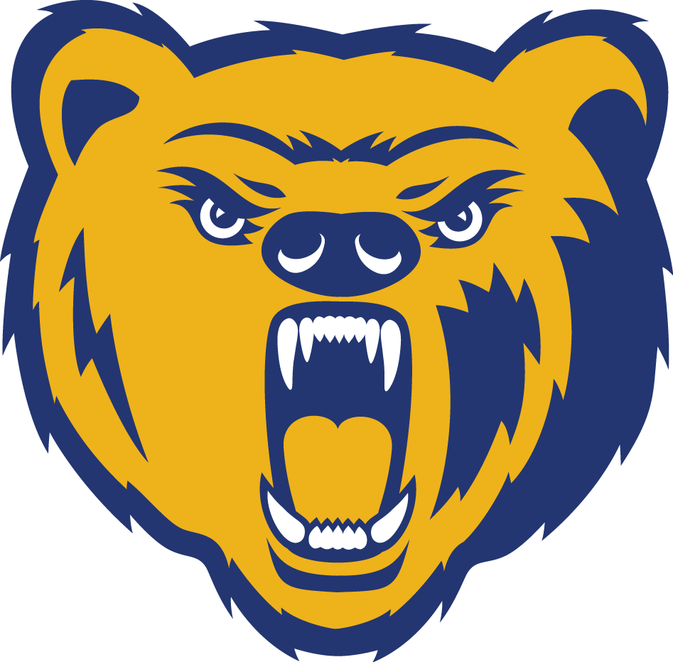 Northern Colorado Bears 2010-2014 Primary Logo diy fabric transfer